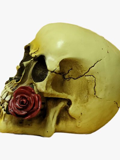 Totenkopf / Skull mit Rose