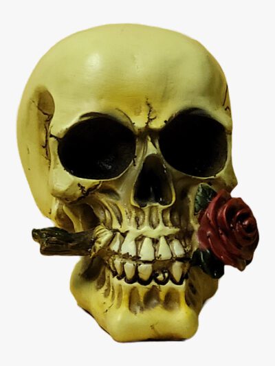 Totenkopf / Skull mit Rose